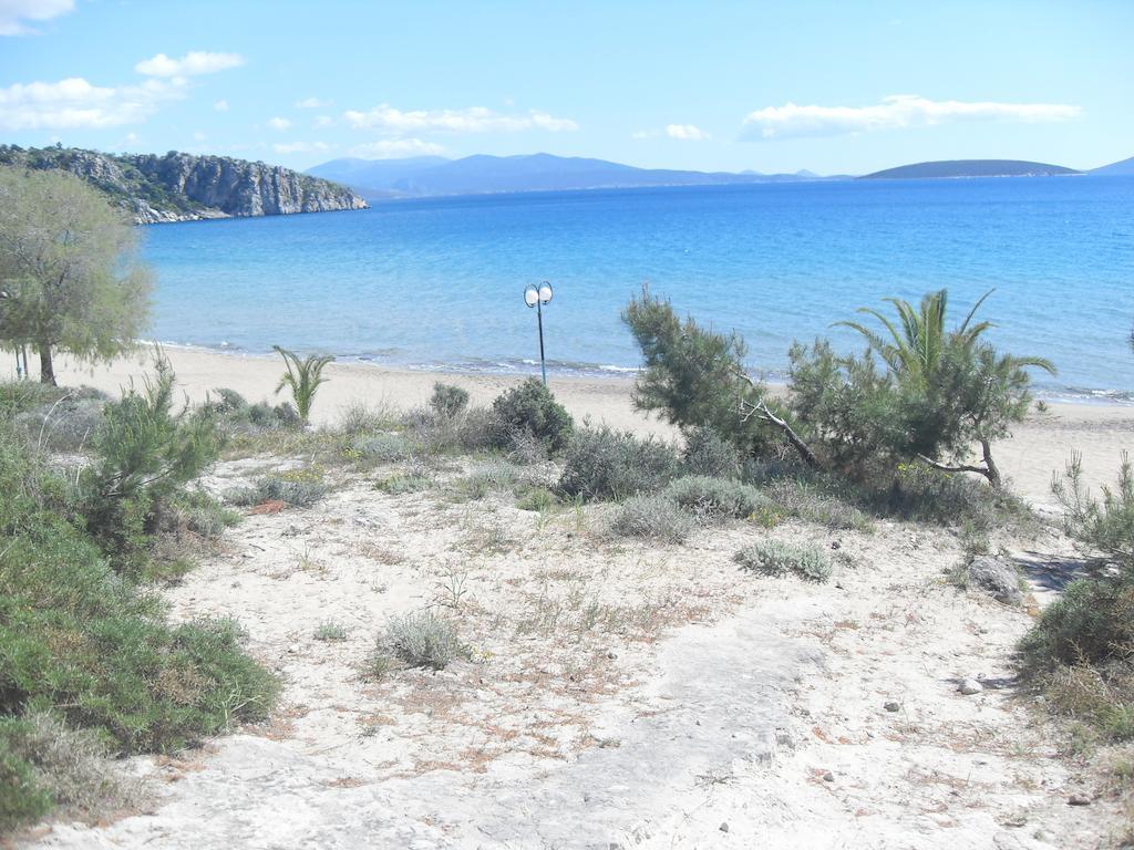 Pavlos - Hotel 2*
